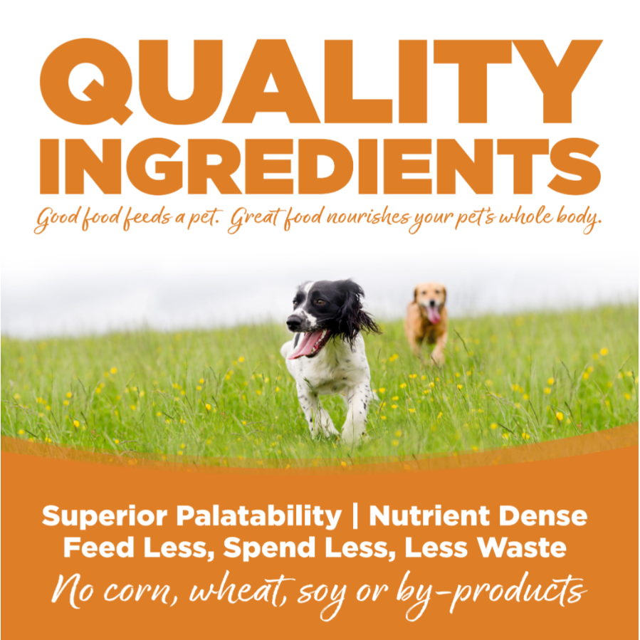 NutriSource Adult Lamb Meal & Rice Dry Dog Food 12lb