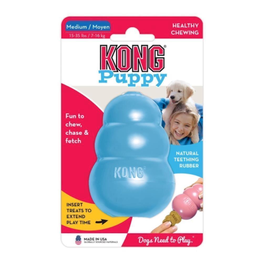 KONG - Dog Puppy