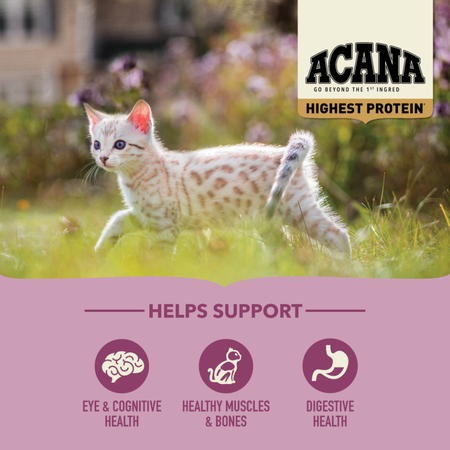 Champion - Acana - Cat Kitten Highest Protein