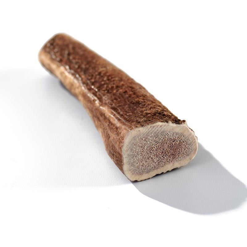 Buck Bone - Elk