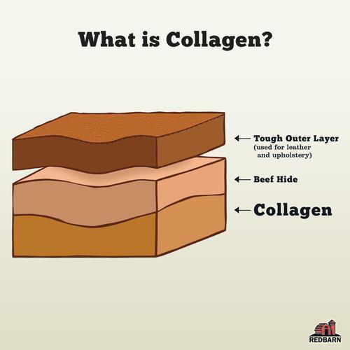 Redbarn - Collagen Spring