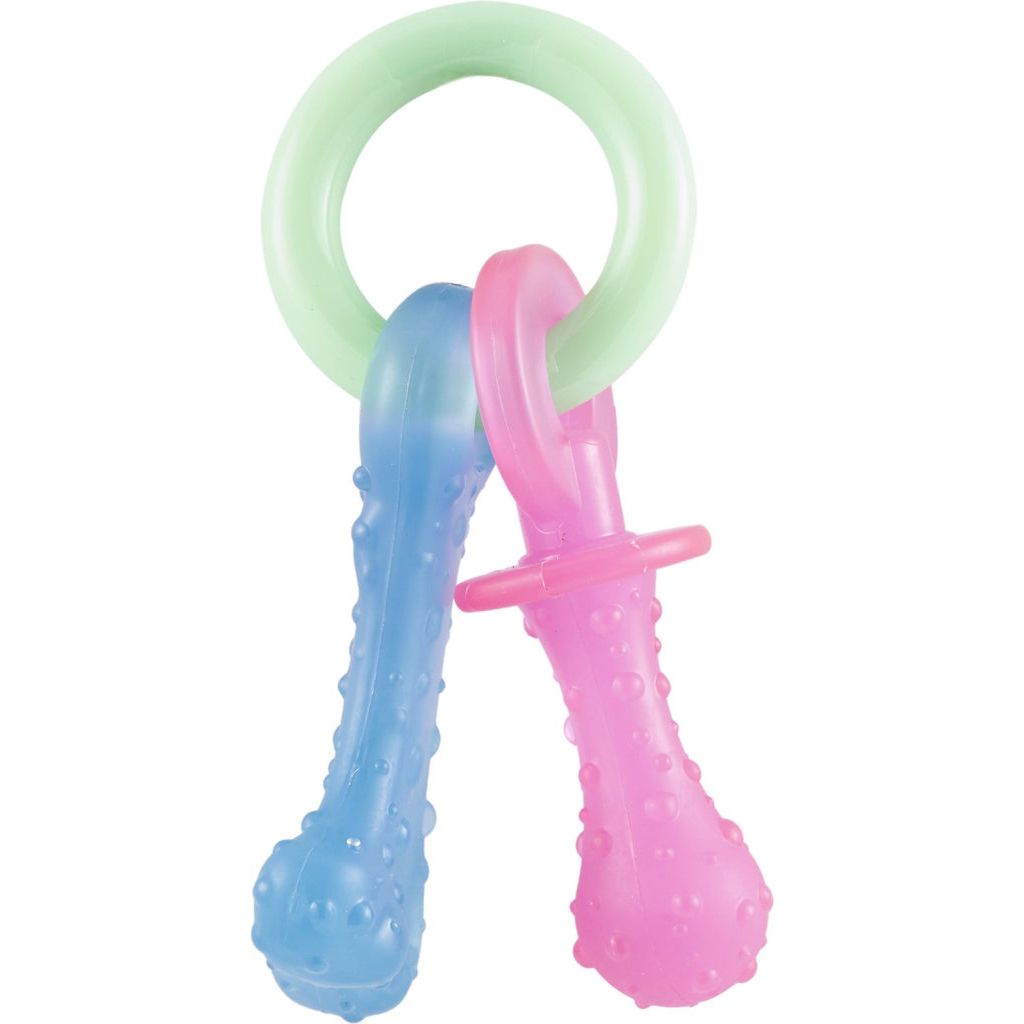 Nylabone - Puppy Teething Pacifier