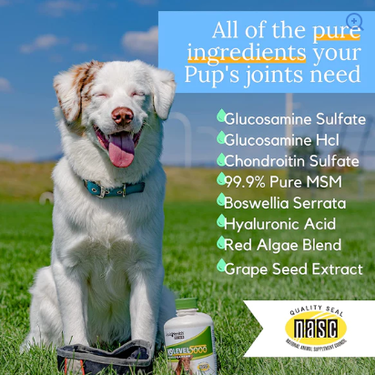 Liquid Health - Level 5000 Concentrated Glucosamine