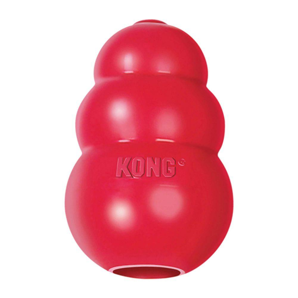 Red KONG Classic toy – Kali's Wish KONG donation for pets fighting cancer