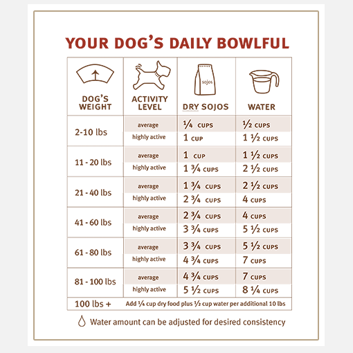 WellPet - Sojos - Dog Complete Turkey