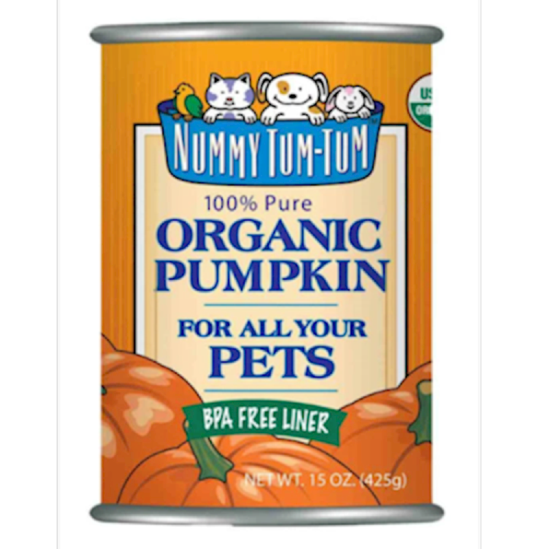 Nummy Tum Tum - Organic Pumpkin Can