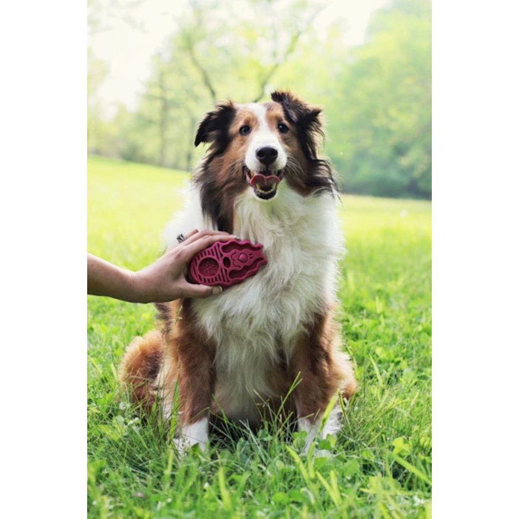 KONG - Dog Zoom Groom Boysenberry
