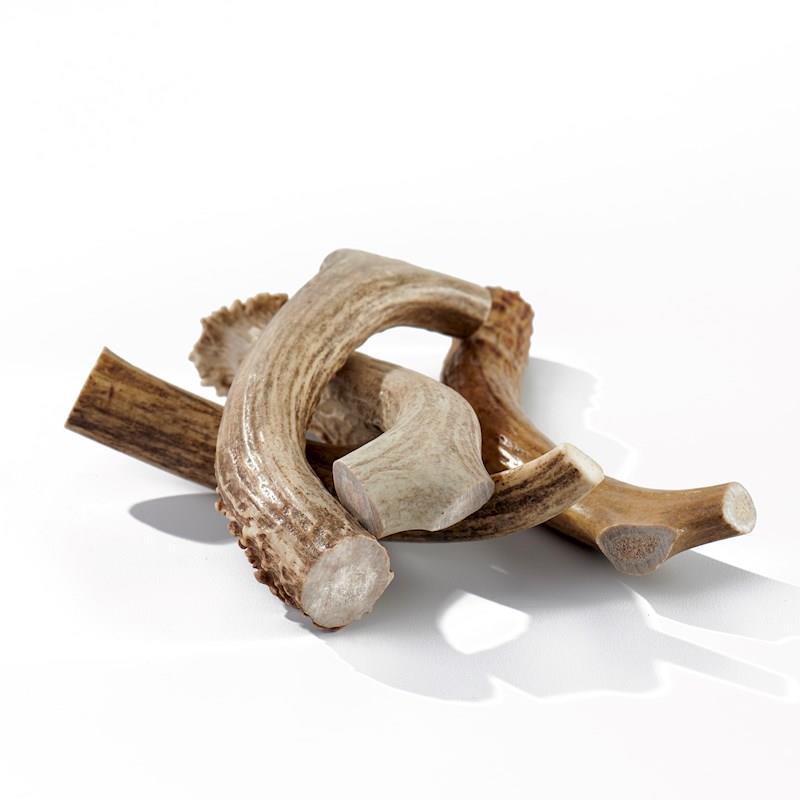Buck Bone - Deer Antler