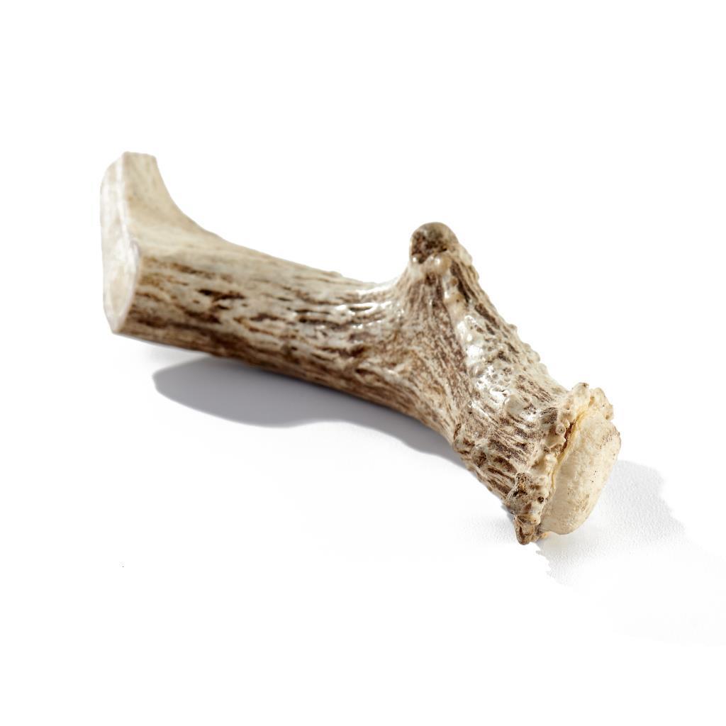 Buck Bone - Deer