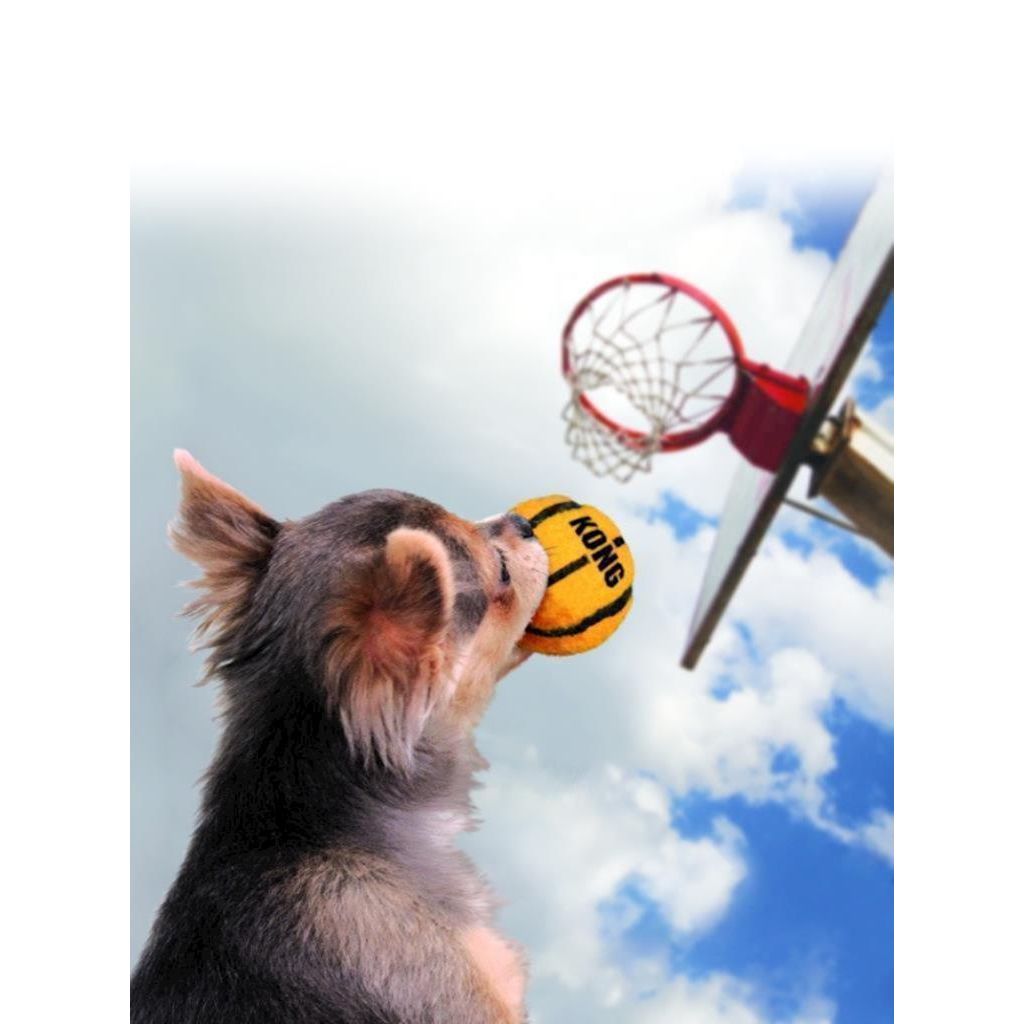 KONG - Dog Sport Balls Assorted