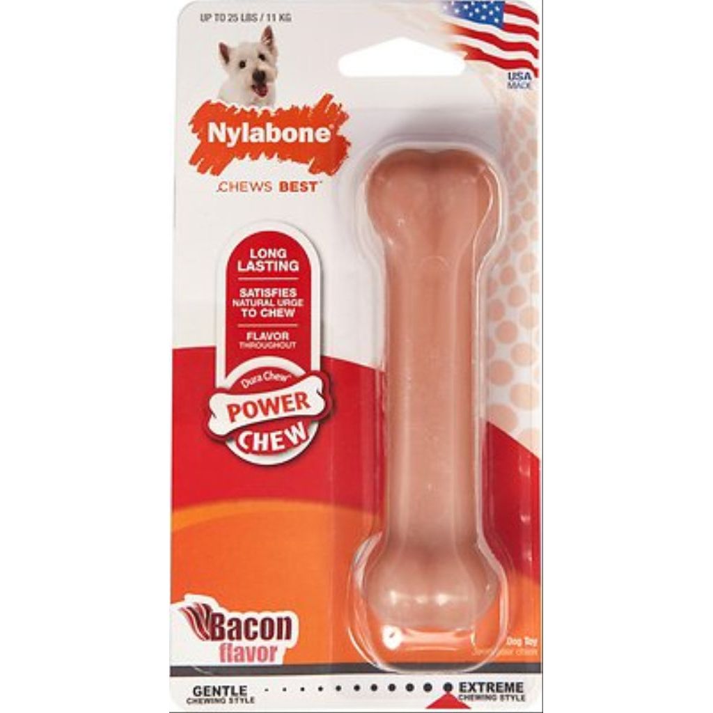 Nylabone - Durable Bacon Bone Regular