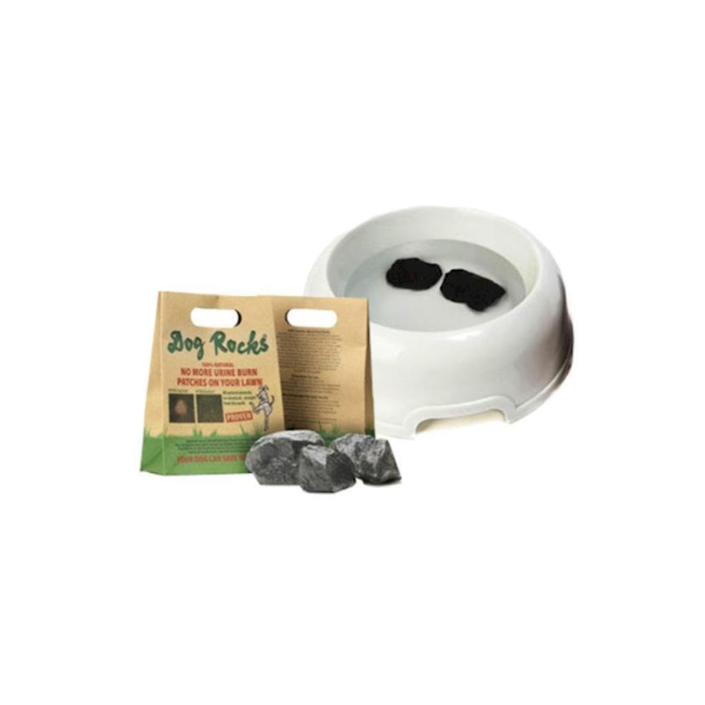 Dog Rocks - Water Filtrater