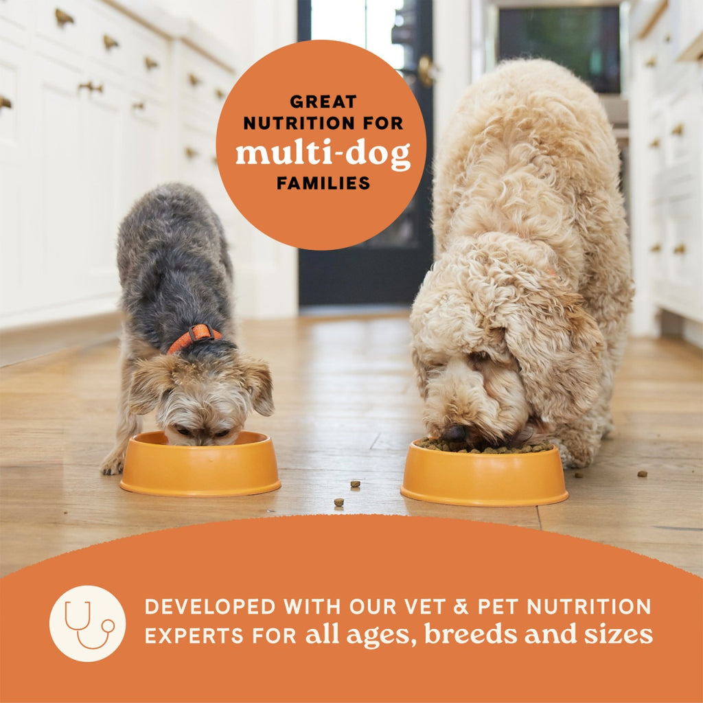 Canidae - All Life Stages - Dog Salmon Meal & Ancient Grains
