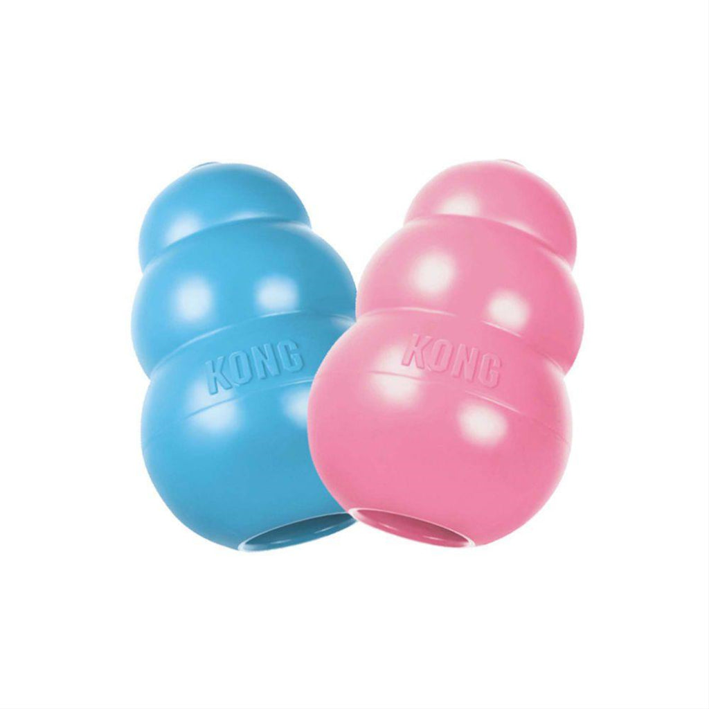 KONG - Dog Puppy