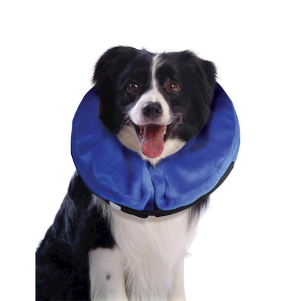 KONG - Dog Cloud Collar