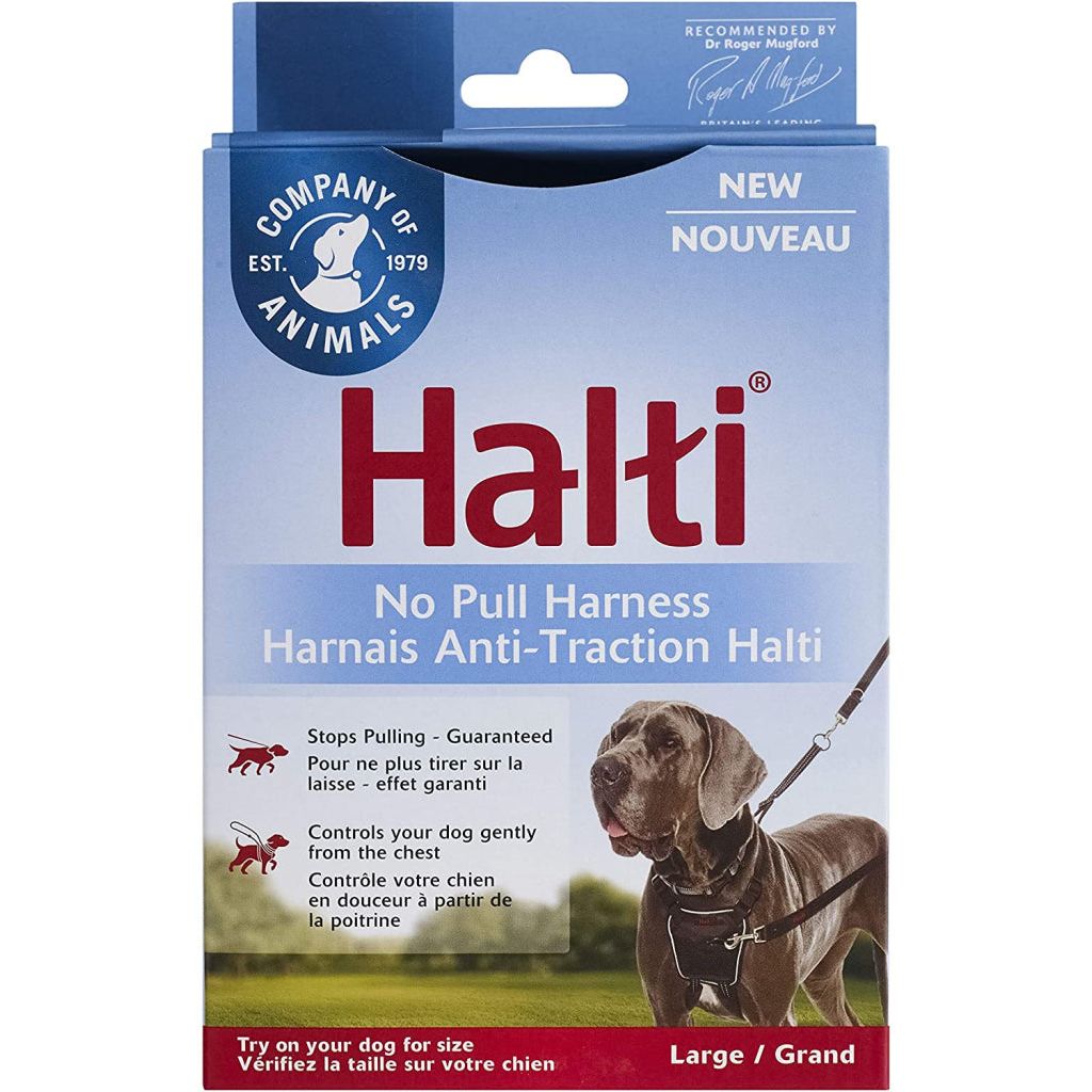 Company of Animals - HALTI Harness