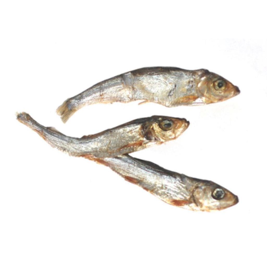 Plato - Baltic Sprat