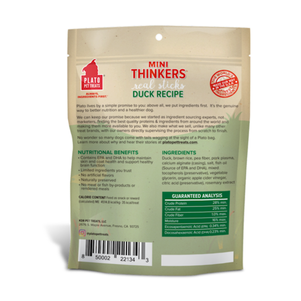 Plato - Mini Thinkers Duck Recip