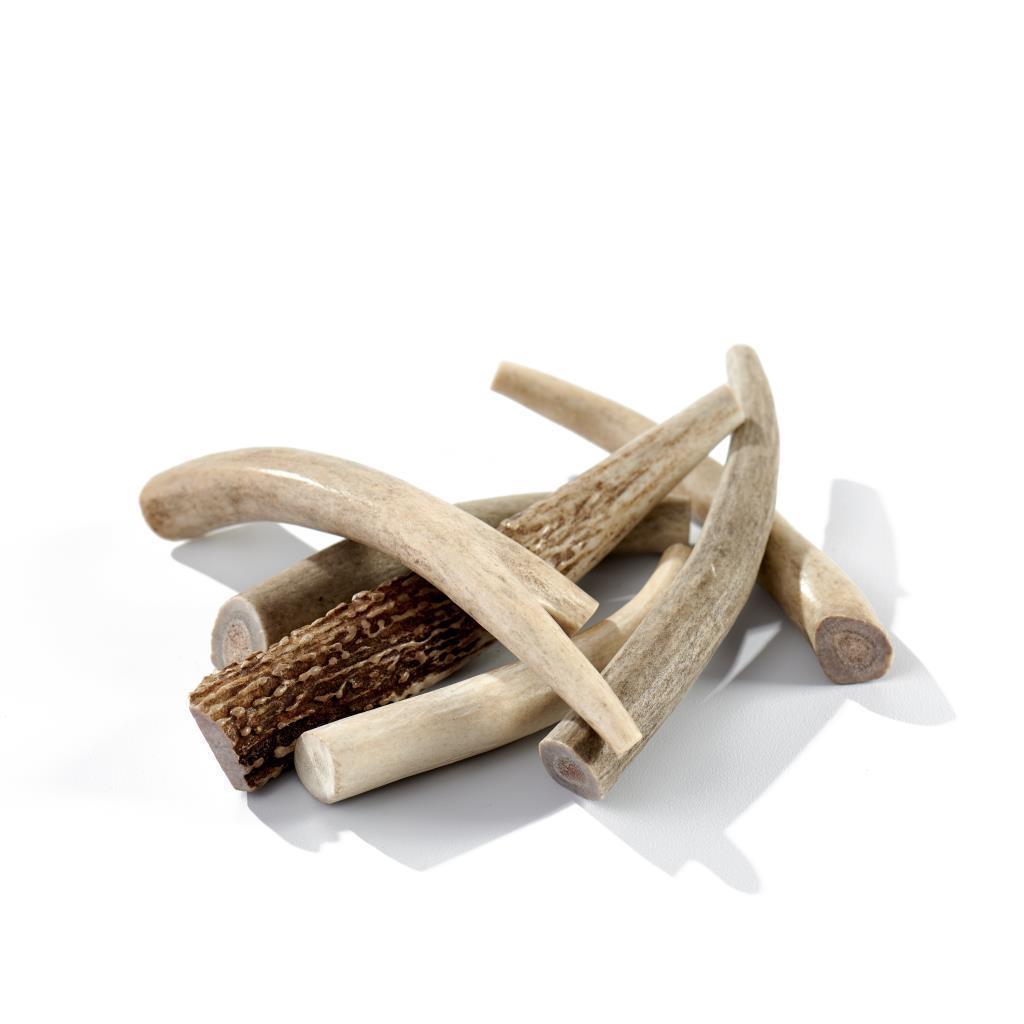 Buck Bone - Deer