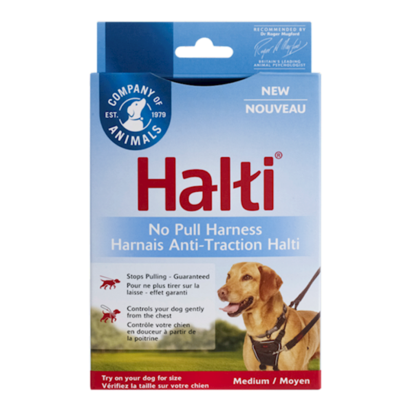 Company of Animals - HALTI Harness