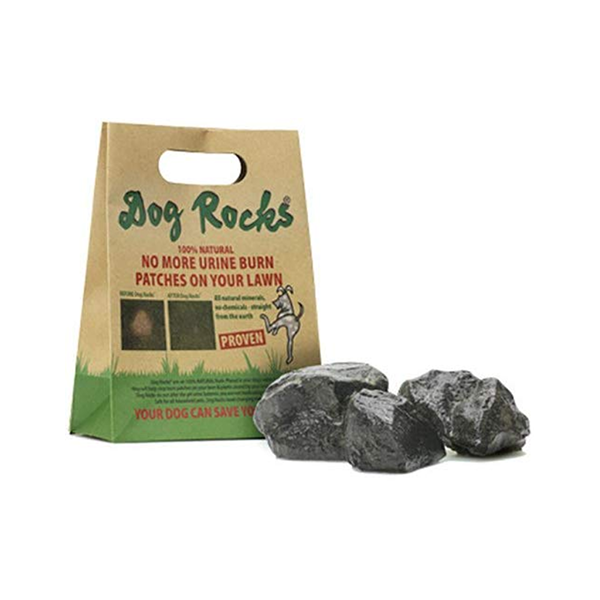 Dog Rocks - Water Filtrater