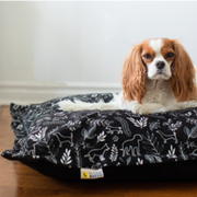 Be One Breed - Cloud Pillow Botanical Dogs