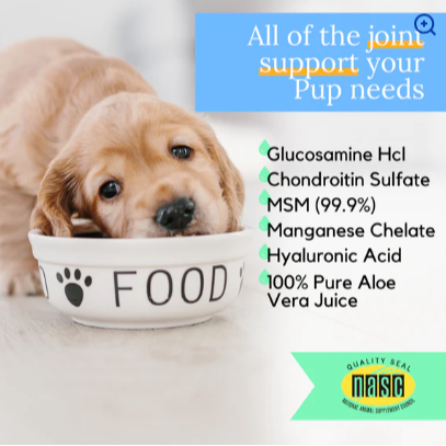 Liquid Health - Original K9 Glucosamine