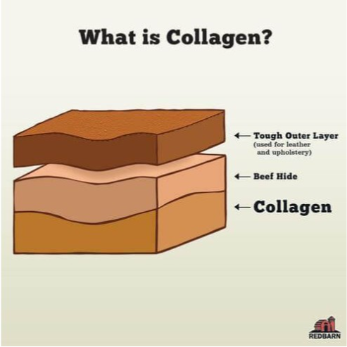 Redbarn Medium Bully Wrapped Collagen Stick