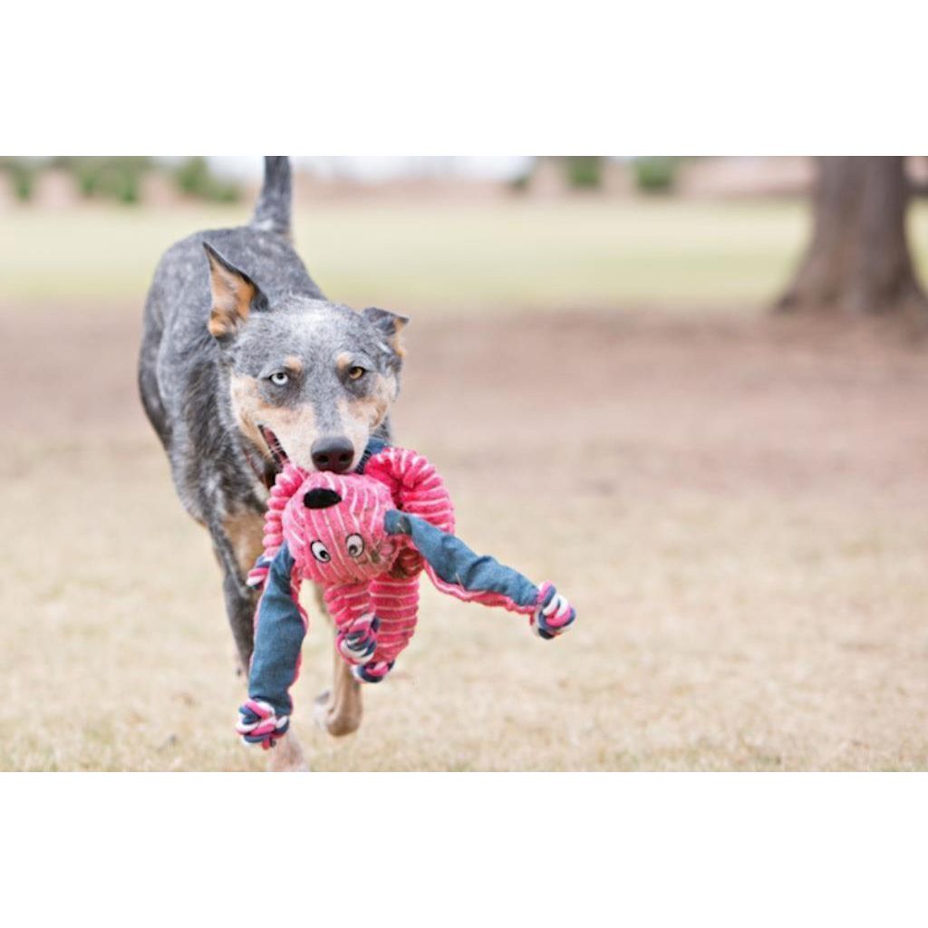 KONG - Dog Floppy Knots Fox