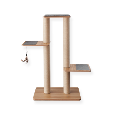 Be One Breed -  Cat Katt3Evo Plus