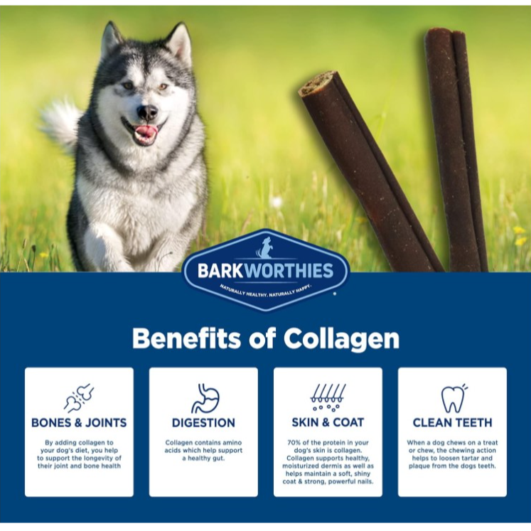 Barkworthies - Collagen Braid