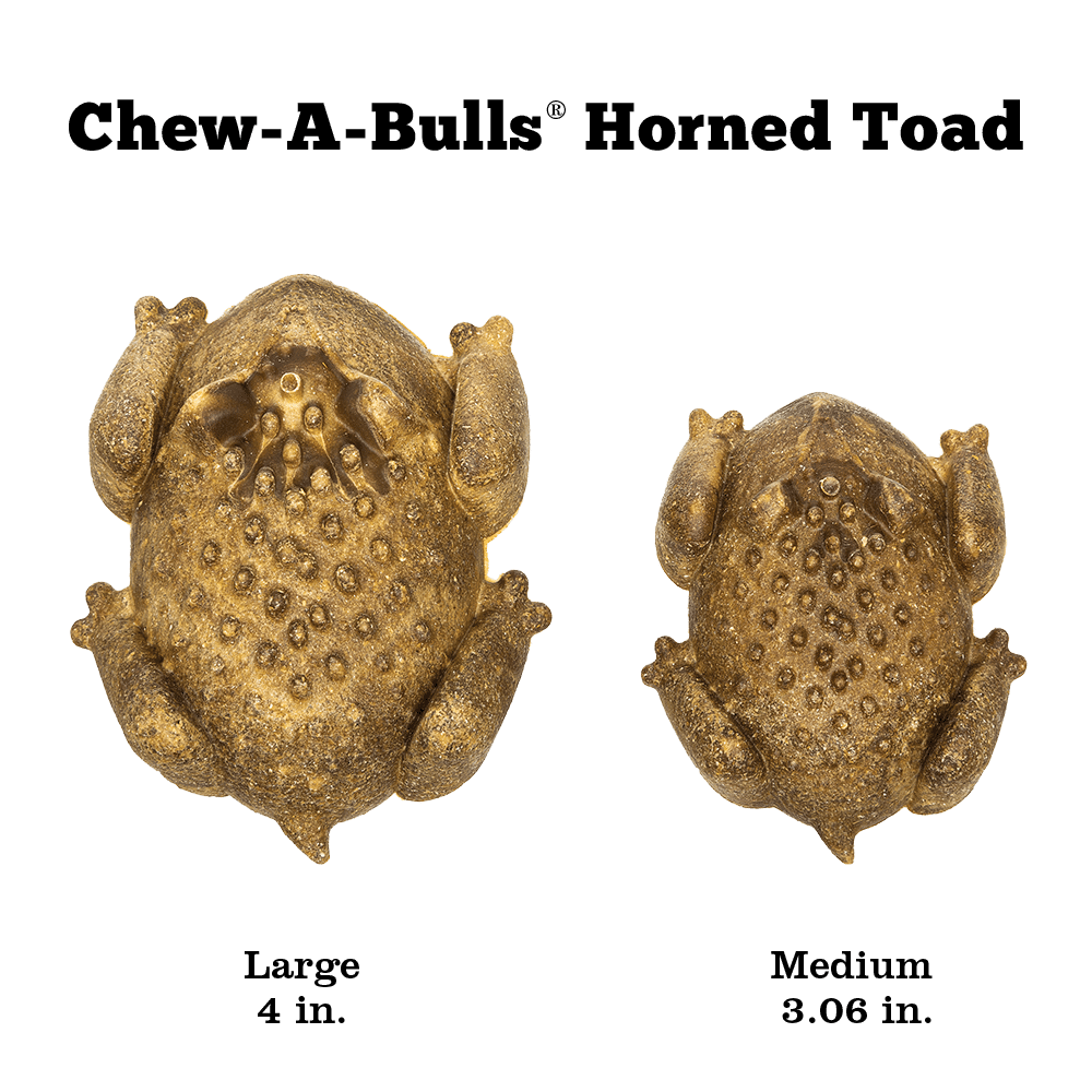 Redbarn - Chew-A-Bulls Horned Toad Medium BULK