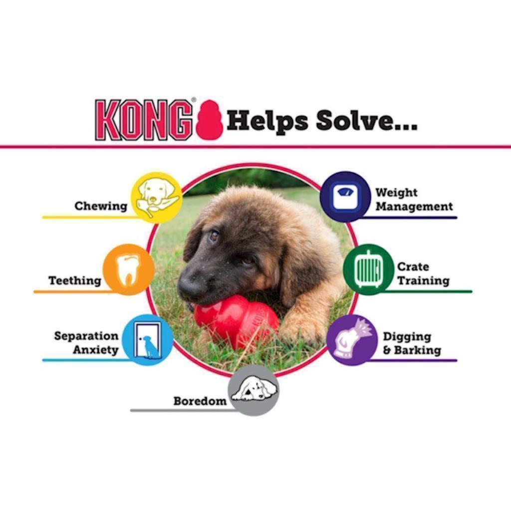 KONG - Dog Goodie Bone Extreme