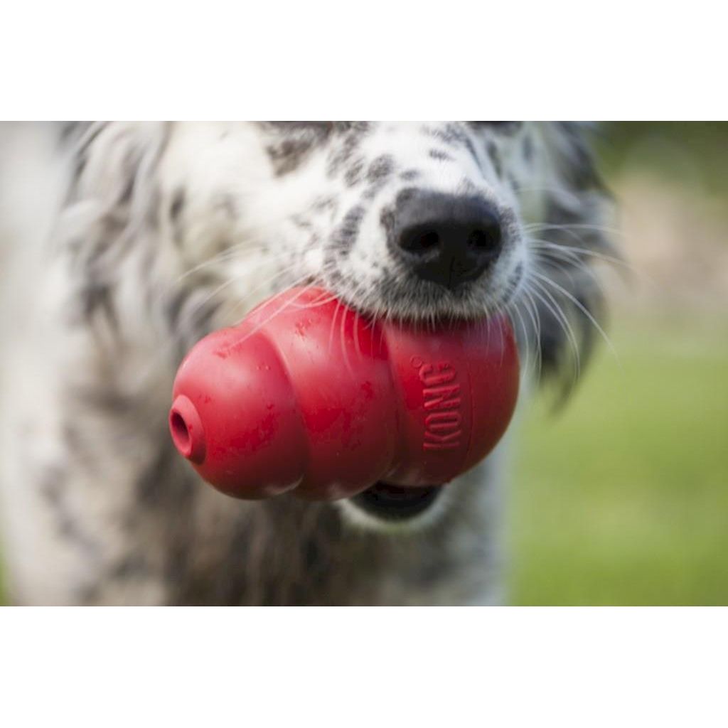 KONG - Dog Classic KONG