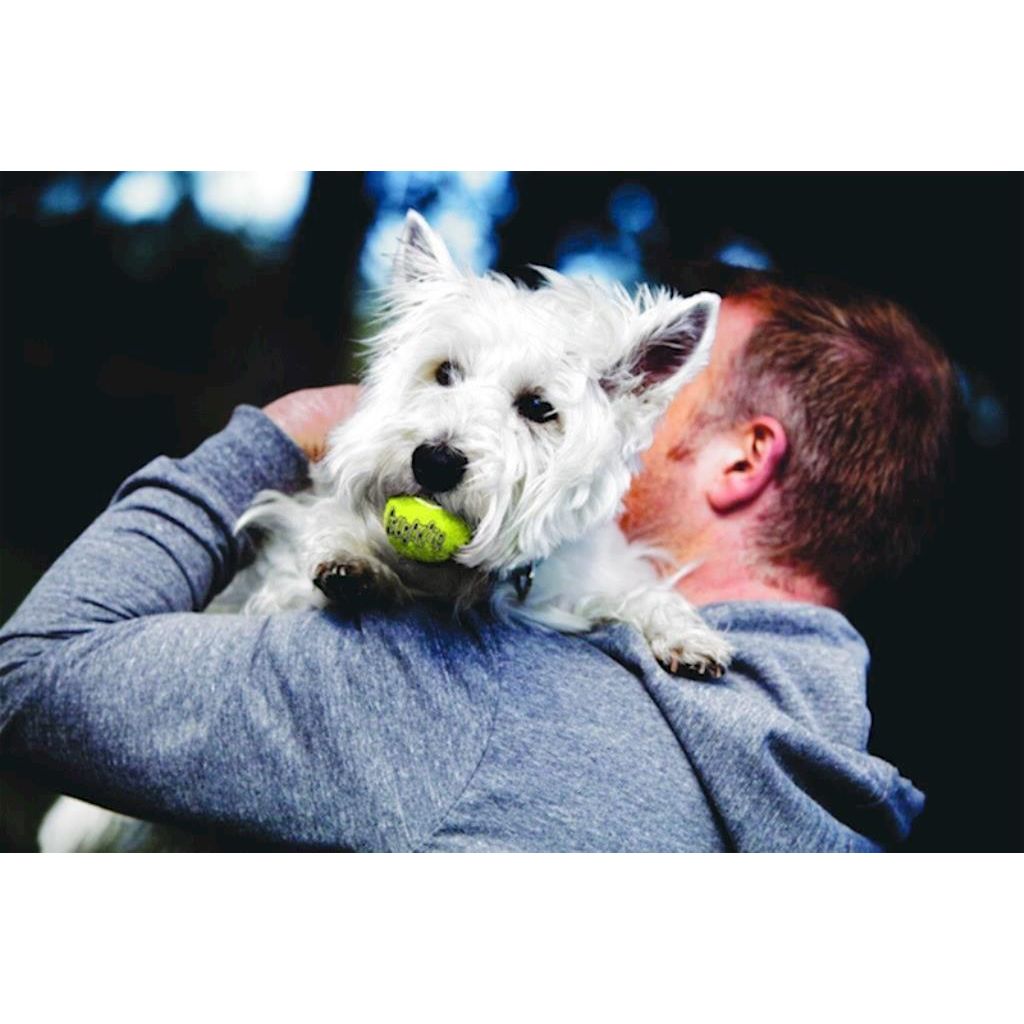 KONG - Dog Squeaker Ball