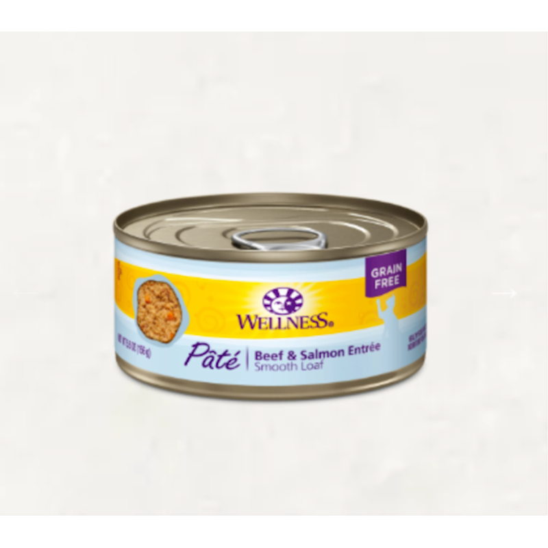 WellPet - Wellness - Cat Beef & Salmon