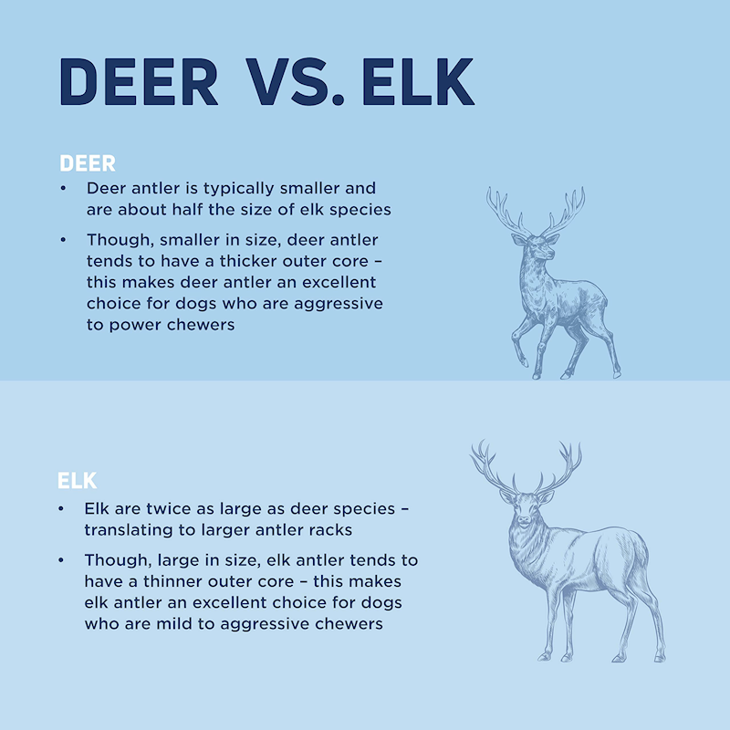 Barkworthies - Elk Antler Select