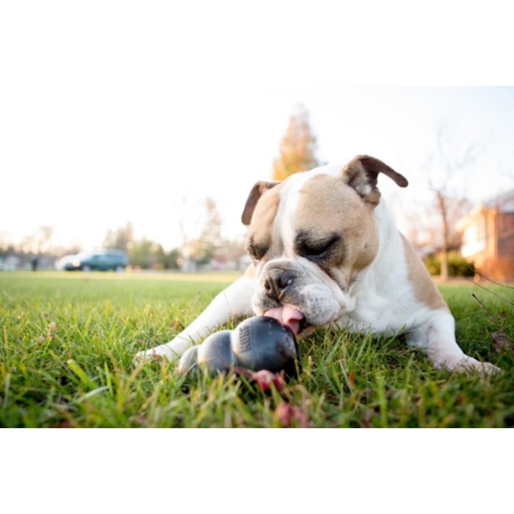 KONG - Dog Xtreme KONG