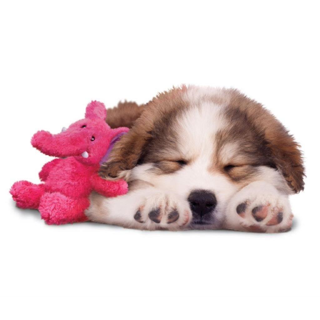 KONG - Dog Cozie Marvin Moose