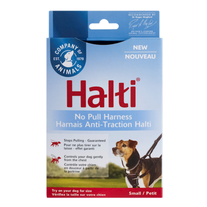 Company of Animals - HALTI Harness