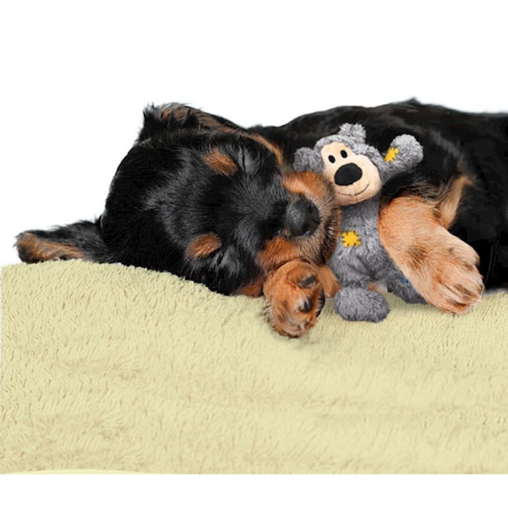 KONG - Dog Wild Knots Bear