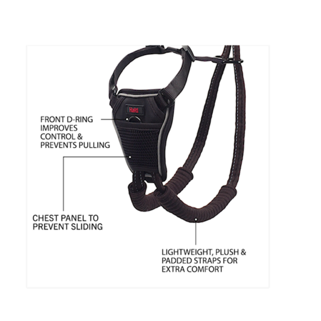 Company of Animals - HALTI Harness