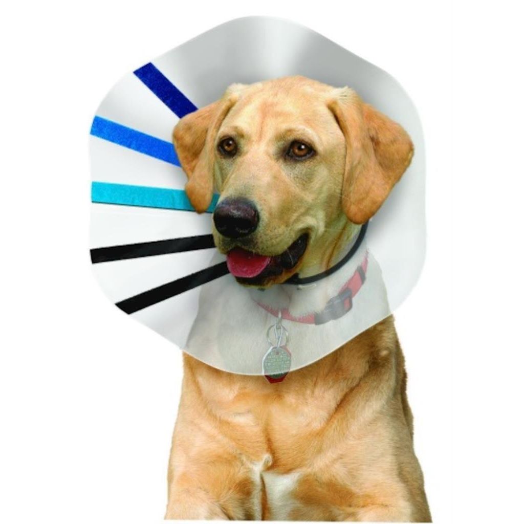 KONG - Dog EZ Collar