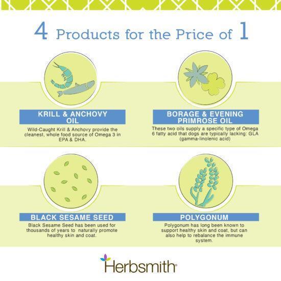Herbsmith - Glimmer Skin & Coat Soft Chews LG