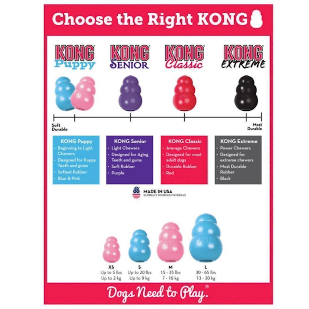 KONG - Dog Puppy