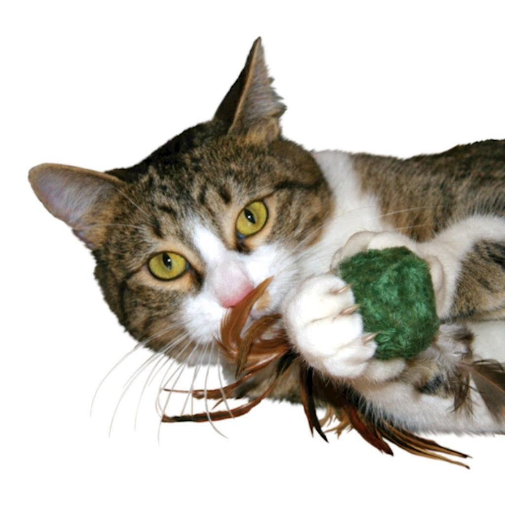 KONG - Cat Naturals Crinkle Ball with Feather