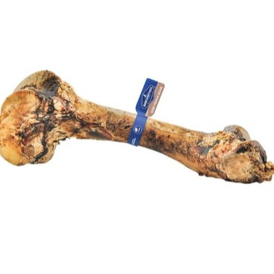 Barkworthies - Femur Bone