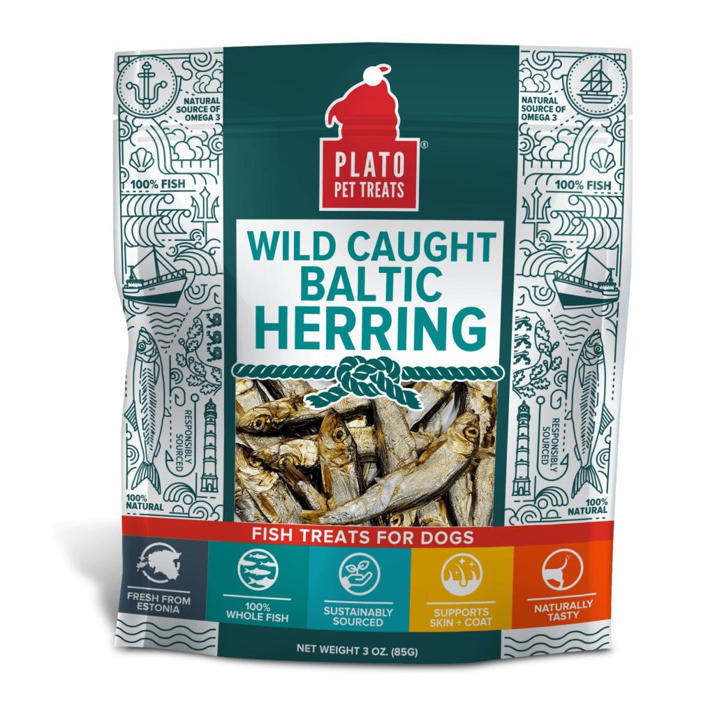 Plato - Baltic Herring