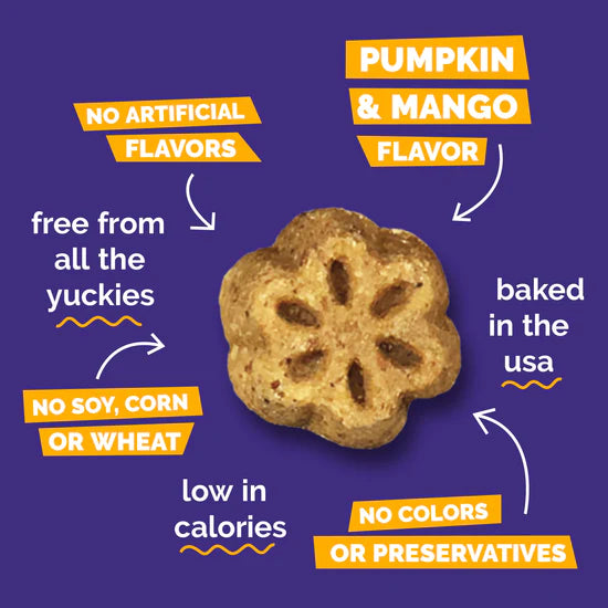Fruitables - Skinny Mini Pumpkin Berry
