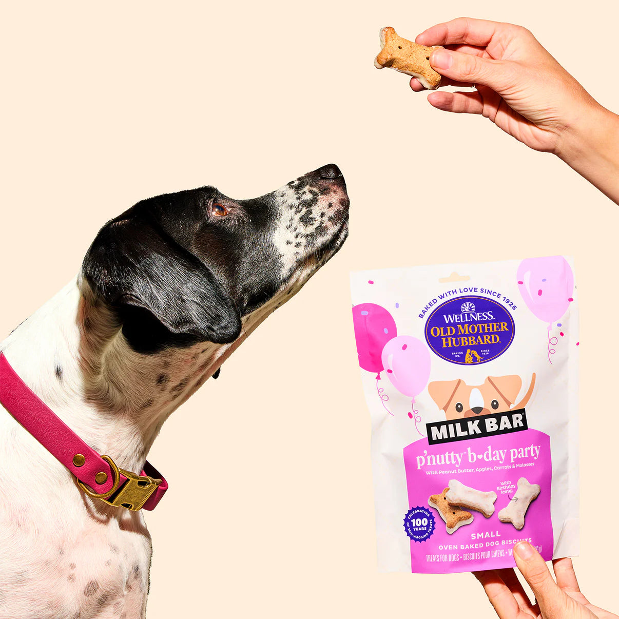 Old Mother Hubbard Milk Bar Birthday Cookies